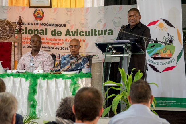 PRESIDENTE DA REPÚBLICA, FILIPE NYUSI, DISTINGUIDO MAIOR PROMOTOR DA AVICULTURA